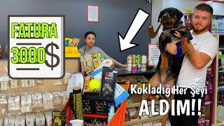 Rottweiler Köpeğim Marla'nın Kokladığı Herşeyi Aldım (3000 TL 😰)