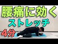 【腰痛に効く！ストレッチ】4分！股関節と背骨をほぐして腰痛改善！