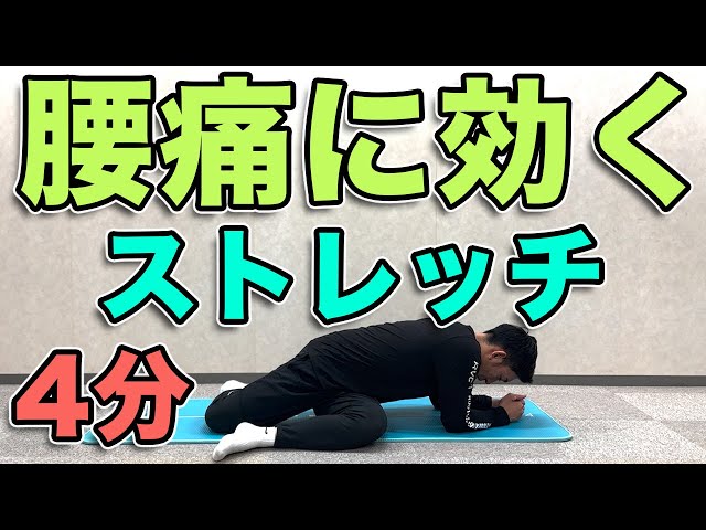 分析からアジャストまで腰痛マスター Dr.ウエムラ Ken Yamamoto 分析からアジャストまで腰痛マスター