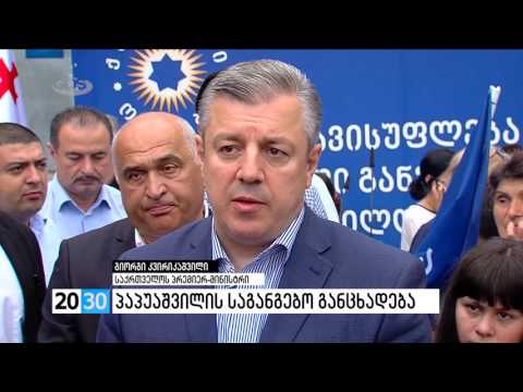 პაპუაშვილის საგანგებო განცხადება /2030 (21.07.2016.)/