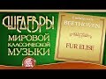 BEETHOVEN ❂ FUR ELISE ❂ ШЕДЕВРЫ МИРОВОЙ КЛАССИЧЕСКОЙ МУЗЫКИ ❂