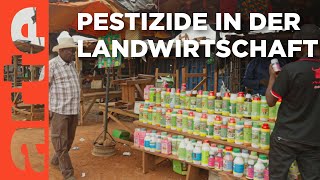 Elfenbeinküste – Pestizide und die Folgen