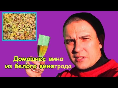 Домашнее вино из белого винограда