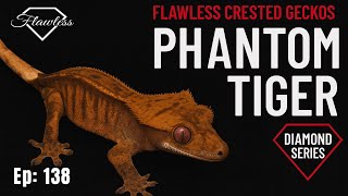 Celebrity Phantom Tiger Crested Gecko Spotlight! | Diamond Series Ep 138 Profile