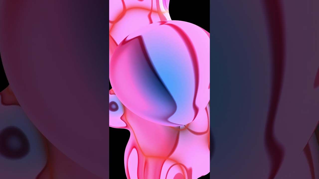 🌀 Magenta Blue and Black Visual - Short🌀 