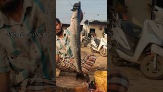 Barrakuda Fish Process In Indian Fish Market | Amazing Fish Cutting Skills