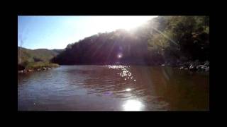 Deerfield River Monster Brown Trout