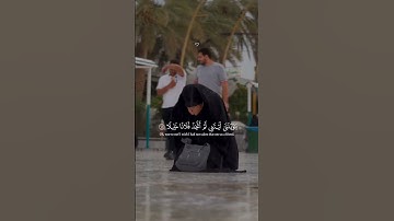 Quran | تلاوات قران كريم خاشعة تهز القلوب  أجمل أصوات القراء#قرآن_كريم #تلاوة_خاشعة  #قران_كريم