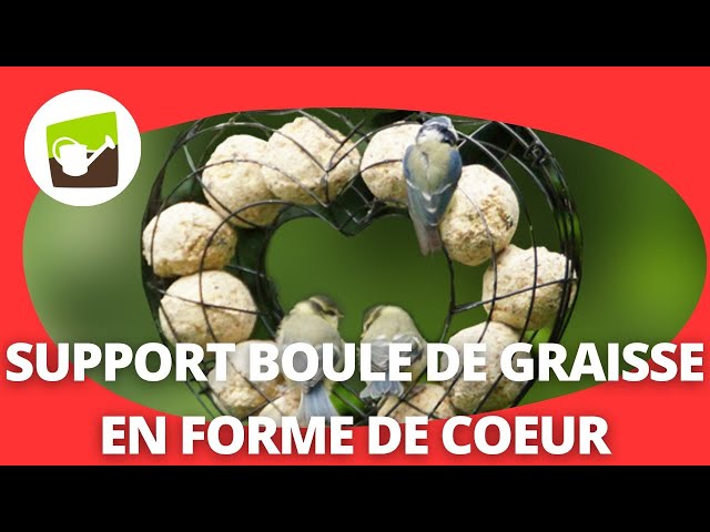 Un support boule de graisse en forme de coeur pour nourrir les oiseaux ! 