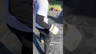 先生とせんどーのパンチ歩幅チェック③