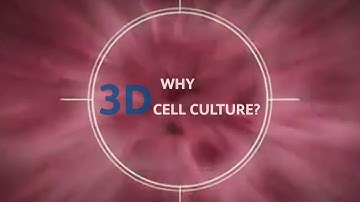 Why 3D Cell Culture?