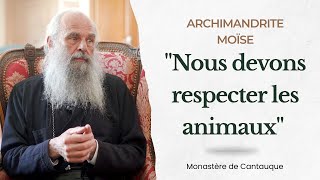 Nous Devons Respecter Les Animaux Archimandrite Moïse