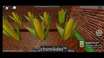 How To Get Tangled Chomik (666 chomiks)