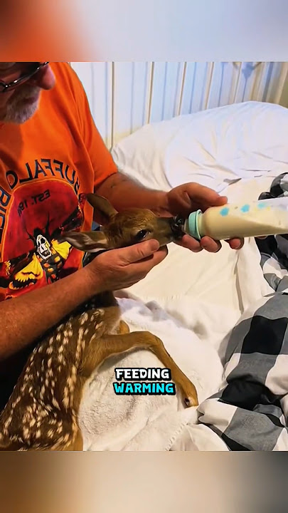 Security Camera Caught this