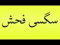 Pronunciation Of سگسی فحش Pronunciation Of سگسی فحش