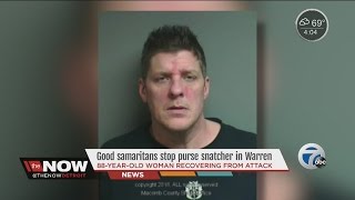 Good samaritans stop purse snatcher in Warren