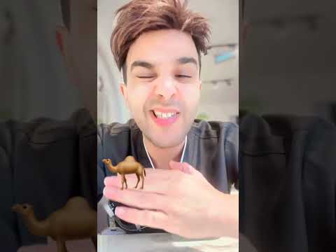 هل حليب الإبل له علاقة بالقولون د سعود الشهري