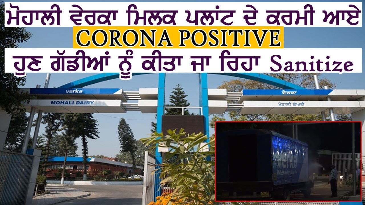 Mohali Verka Milk Plant के कर्मी आए Corona Positive, अब गाड़ियों को किया जा रहा Sanitize