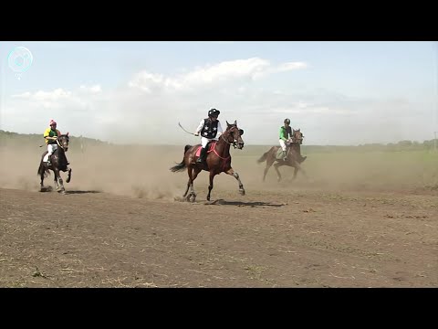 Конноспортивные соревнования прошли в Черепановском районе