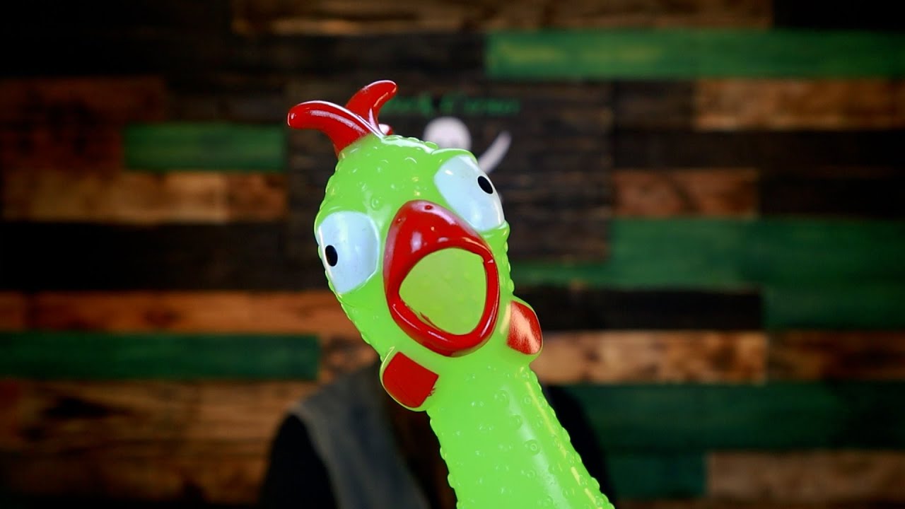 Frog & Co. Hand Warmer YouTube