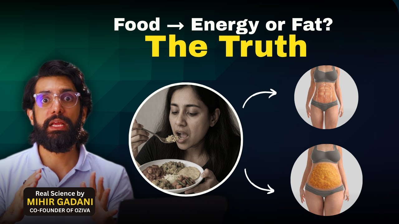 How Your Body Turns Food Into Energy (and Fat)