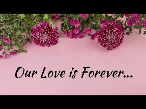 True love never