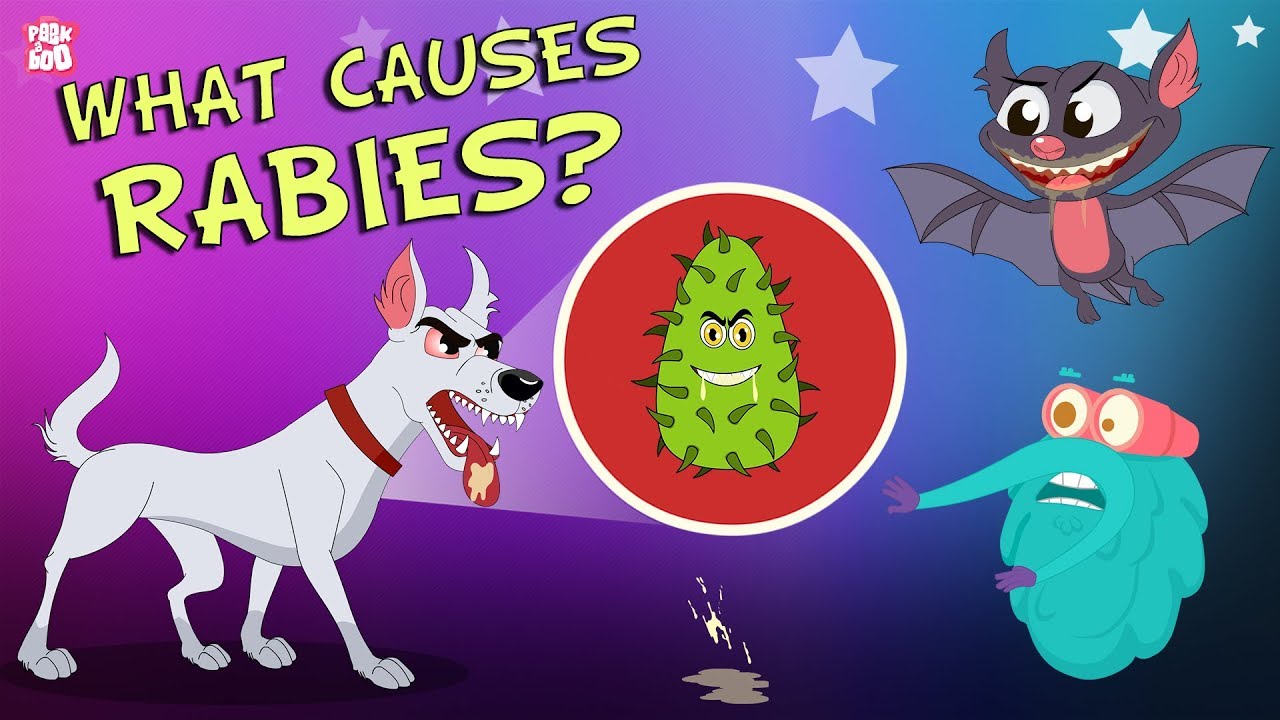 Are Puppies Born With Rabies?