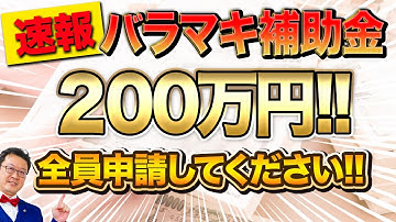 【号外】一人社長でも100万円貰える「最強の補助金」がついに登場！！この動画を見たら今すぐ申請してください！！
