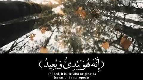 سورة البروج (إِنَّ بَطْشَ رَبِّكَ لَشَدِيدٌ۞ماهر المعيقلي