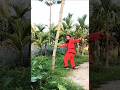 #everyone #martialarts #new chinese kung-Fu &amp; boxing#spring position fighting#viralshort#kungfu