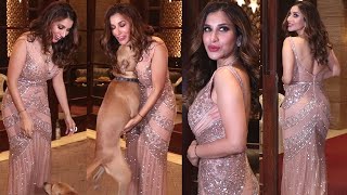 Sophie Choudry Cuddling With Her Pet Dog After Party Snapped By Media