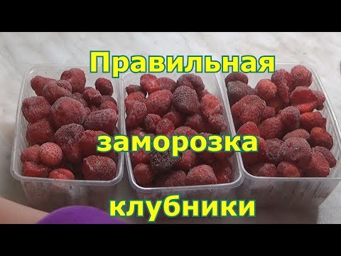 Как правильно замораживать клубнику
