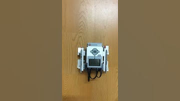 Quadruped Robot: Giraffes, Horses and Elephants