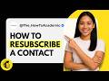 How to Resubscribe Contact in Mailchimp [Quick Guide]