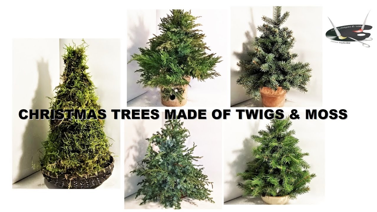5 easy ideas Christmas trees made of twigs & moss 
