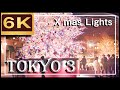 6K CHRISTMAS LIGHTS TOKYO 3 SHOT WITH BMPCC 恵比寿 ガーデンプレイス イルミネーション