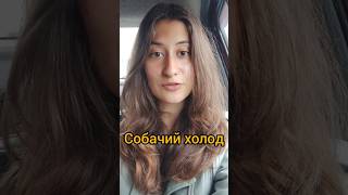#италия #итальянскийдляначинающих #итальянскийязык #итальянский