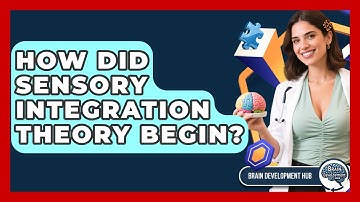 How Did Sensory Integration Theory Begin? - Brain Development Hub