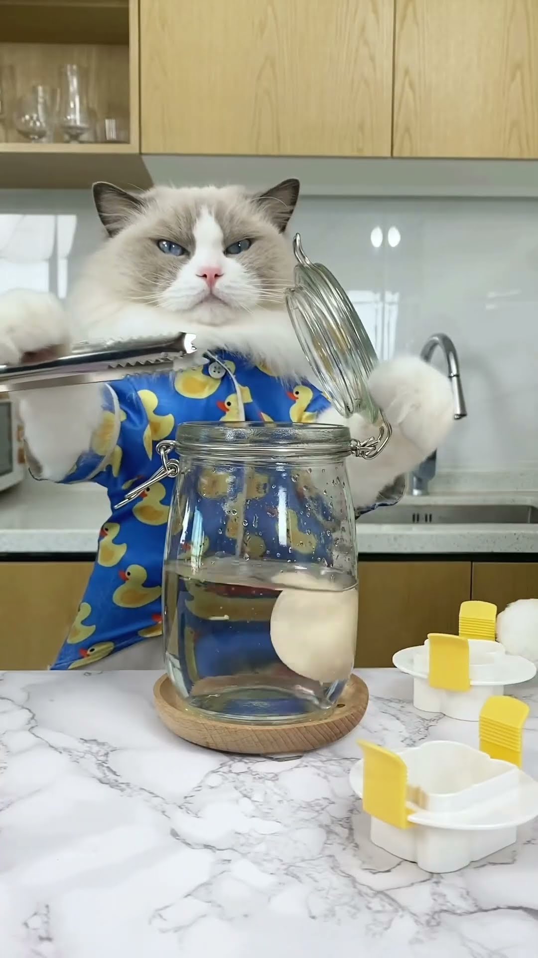 Cream’s got the upper hand in splitting the boiled egg, leaving Puff in a scramble! #thatlittlepuff