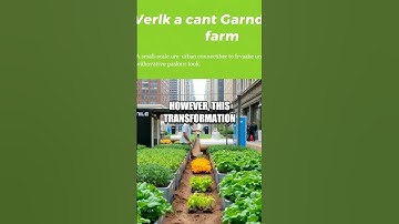 Future Tech Insights: AI in Urban Farming