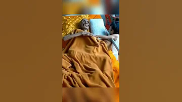 Реальная буддисткая практика