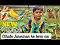 ताबिश ने बताया छोटे जानवरों के बारे में 🐰🕊️ | New #Story video | New #animal video | New #poem video