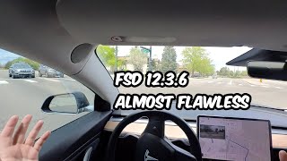 Tesla FSD 12.3.6  1 Disengagement in 20 Minutes of Driving
