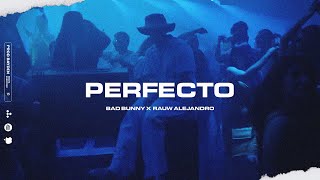 Video thumbnail of "[FREE] Bad Bunny x Jhay Cortez Type Beat - PERFECTO | Reggaeton Type Beat 2022"