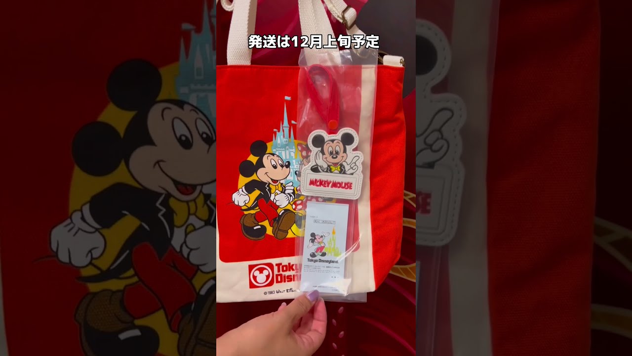【新品未使用・抜いてるパーツなし】ディズニー　40周年 ショルダーバッグ 予定外に購入したTDR40周年コンバースグッズ | Hatama Official Blog