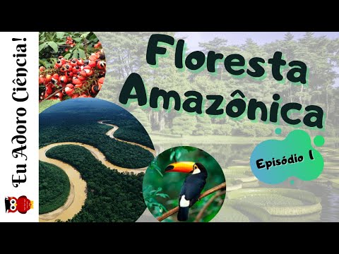 Biomas e Ecossistemas Brasileiros - FLORESTA AMAZÔNICA (Episódio 1)