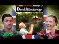 Who is David Attenborough? Top 10 David Attenborough Moments - Americans React