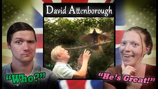 Who is David Attenborough? Top 10 David Attenborough Moments - Americans React