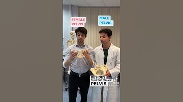 Male vs female pelvis ! Comemnt any other differences you know 🙌#Medicine #doctor #medical #clips