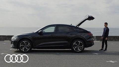 The MICHELIN GUIDE x Audi
